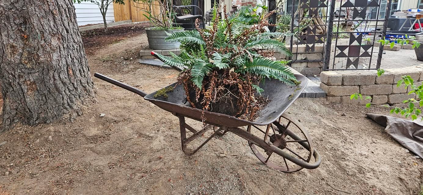 Im building a fern pot out of this old wheelbarrow with metal…