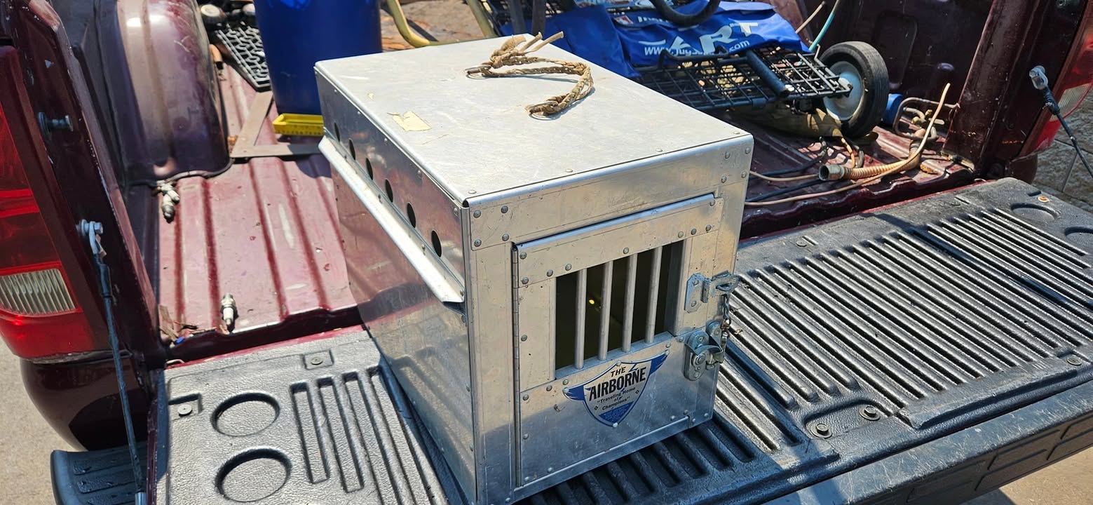 I thought this metal animal carrier I rescued today would make a…
